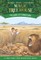 Lions at Lunchtime