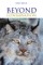 Beyond Conservation