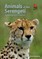 Animals of the Serengeti