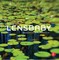 Lensbaby