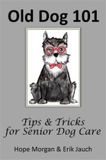 Old Dog 101 - Tips & Tricks for Senior Dog Care