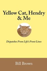 Yellow Cat, Hendry & Me