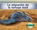 La MigraciÃ³n de la Tortuga LaÃºd (Leatherback Turtle Migration) (Spanish Version)