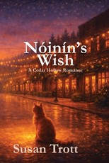 NÃÂ³inÃÂ­n's Wish