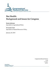Bee Health