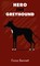 Hero the Greyhound