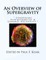 An Overview of Supergravity