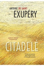 Citadelė Citadelė