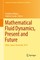 Mathematical Fluid Dynamics, Present and Future