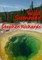 Wild Summer (Free Spirit Adventures
