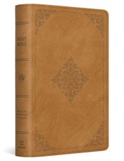 ESV Large Print Bible
