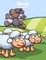 Sheep Coloring Book 1