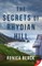 The Secrets at Rhydian Hill