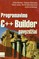 Programavimo C++ Builder pavyzdžiai