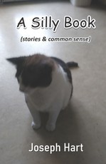 A Silly Book