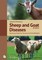 Sheep and Goat Diseases 4th Edition