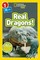 Szymanski, J: Real Dragons! (National Geographic Kids Reader