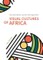 Visual Cultures of Africa