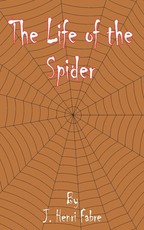 The Life of the Spider