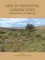 Life in Medieval Landscapes