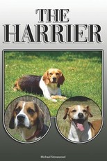 The Harrier