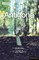 Antigone