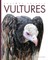 Amazing Animals Vultures
