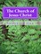 The Church of Jesus Christ