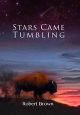 Stars Came Tumbling