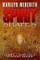 Spirit Shapes