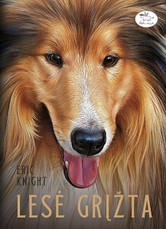 Lesė grįžta Lesė grįžta