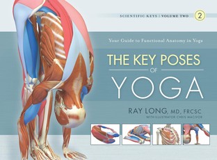 Key Poses of Yoga
