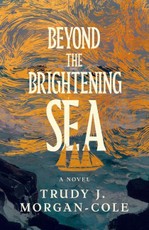 Beyond the Brightening Sea