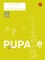 Pupa. Pratybų sąsiuvinis 2 klasei, 1 dalis. Serija ŠOK