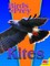 Kites