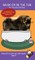 Musk Ox In The Tub