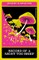 Kawakami, H: Record of a Night Too Brief