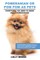 Pomeranian as Pets