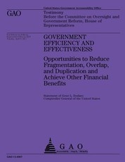 Government Efficiency and Effectiveness