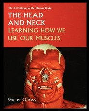 The Head and Neck