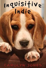 Inquisitive Indie