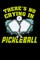 There's No Crying In Pickleball