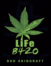 LiFe B420