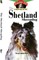 The Shetland Sheepdog