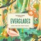 Everglades