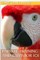 Parrot Training and Behavior 101