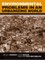 Environmental Problems in an Urbanizing World