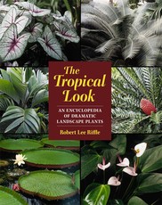 The Tropical Look