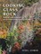 Looking Glass Rock