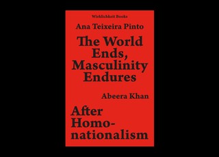 The World Ends, Masculinity Endures / After Homonationalism
